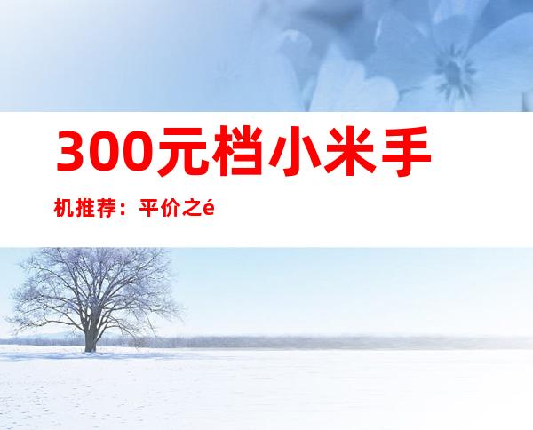 300元档小米手机推荐：平价之选，性价比出众
